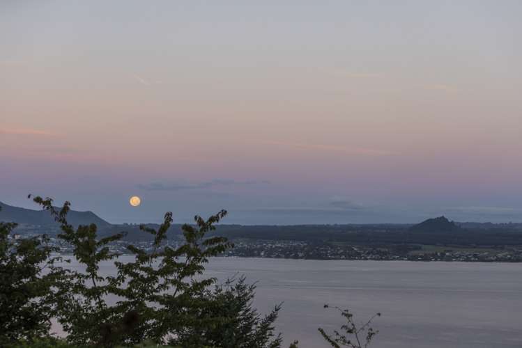 65 Mapara Road Acacia Bay_28