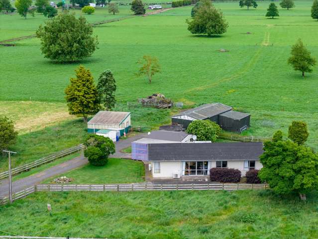 618 Piako Road Gordonton_4