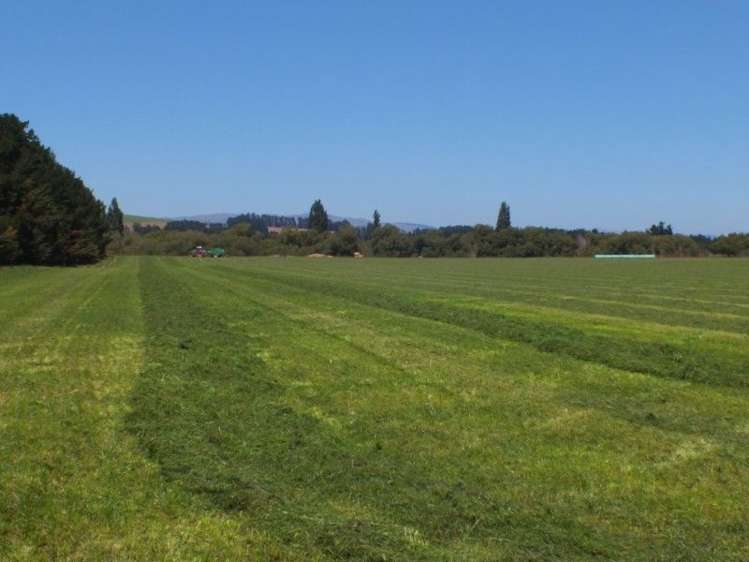 55 Costellos Road Hawarden_8