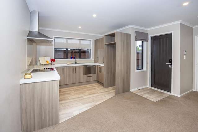 2/30 Willoughby Street Whitiora_3