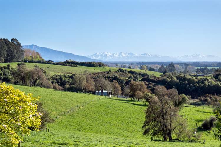 22 Pye Road Geraldine_1