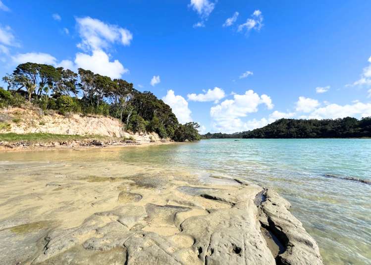 17 Okura River Road Okura_16