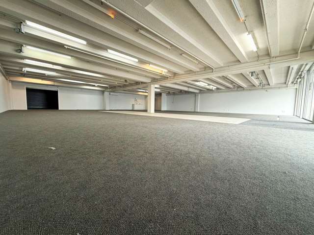 20 Catherine Street Henderson_1