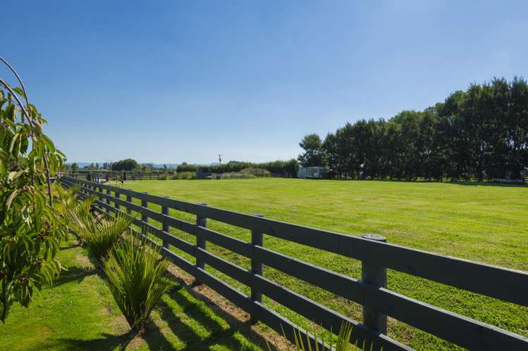 562 Back Ormond Road Makauri_45