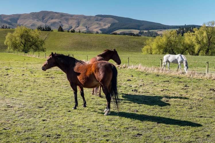 94 Douthwaites Road Waimate Surrounds_26