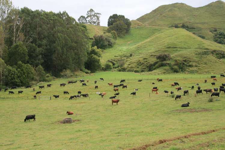 292 Gordon Road Toko_15