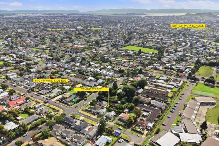 21 Vine Street Mangere East_20