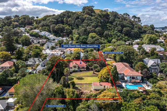 305A Mt Eden Road Mt Eden_4