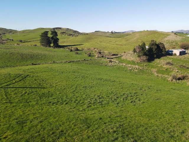 195 Garfield Road Norsewood_4