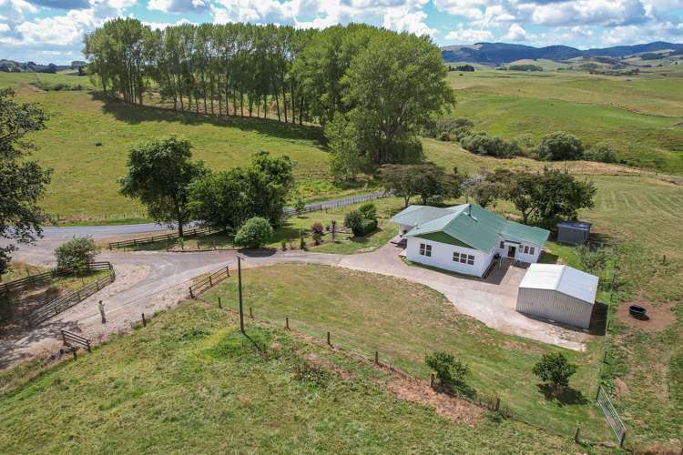 1018 Maihiihi Road Maihiihi_9