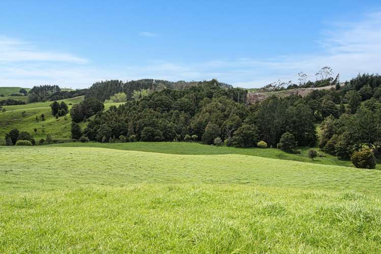 Coxhead Road Parakao_1