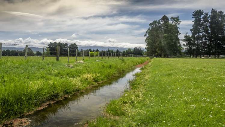 East Taratahi Road Carterton_2