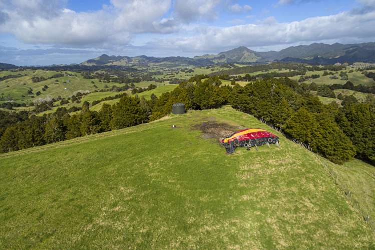 203 Otuhi Road Mangapai and Surrounds_7