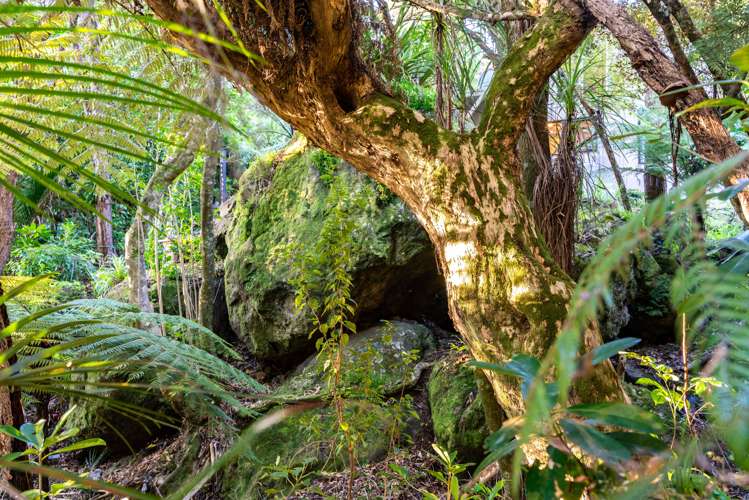 75 Our Road Whangarei Heads_22