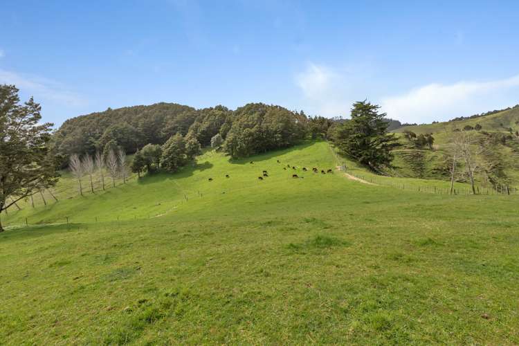 387 O'Carroll Road Maungakaramea_37