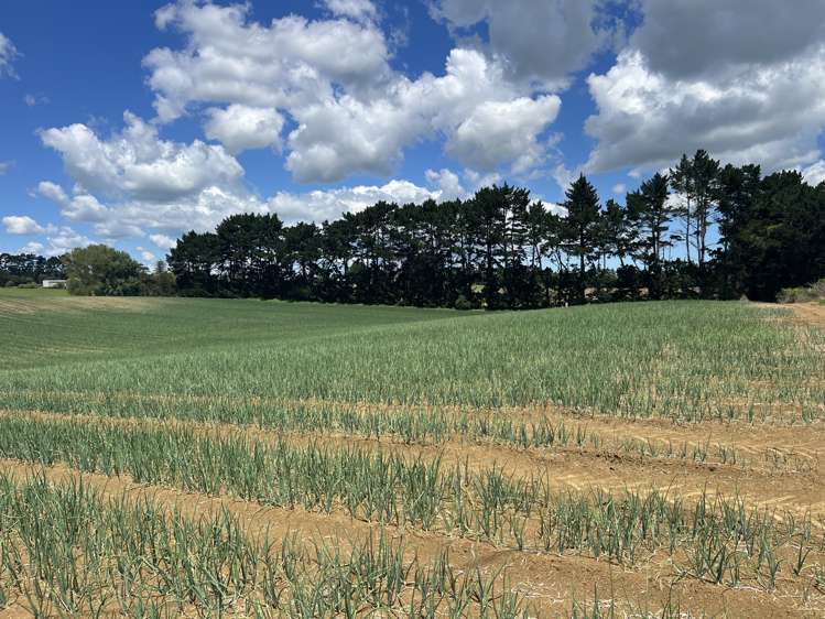 76 Brookside Road Glenbrook_8