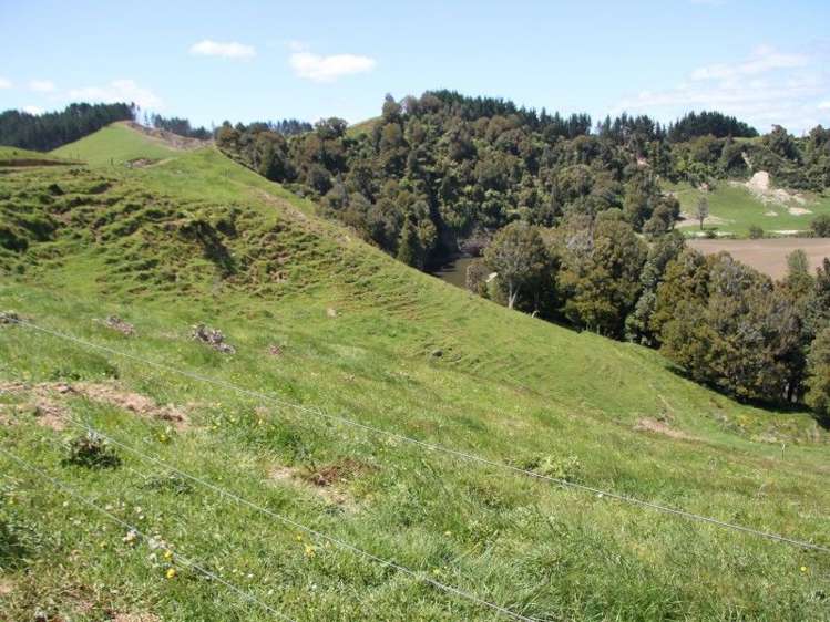 Otaraoa Road Tarata_9