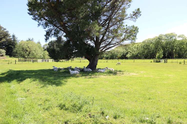 21 Benson Road Nightcaps_6