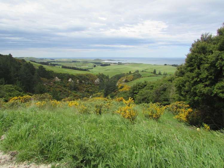 Horse Range Road Palmerston_10