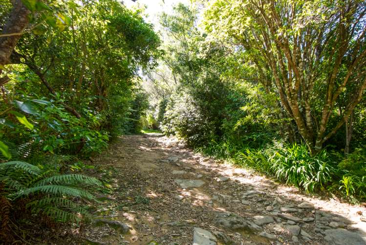 4 The Pines Marlborough Sounds_34