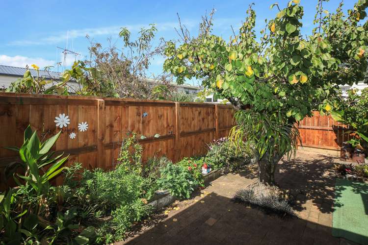 116 Mackay Street Thames_16