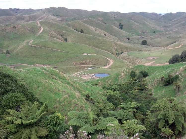 446 Stanley Road Te Popo_0