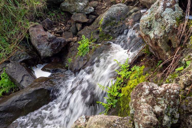 7221 State Highway 1 Pakaraka_10