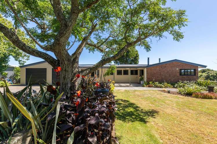 55 Pitt Road Hillsborough_29