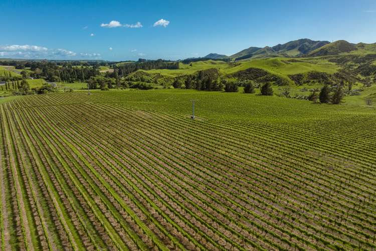 7797 State Highway 1 Ward_12