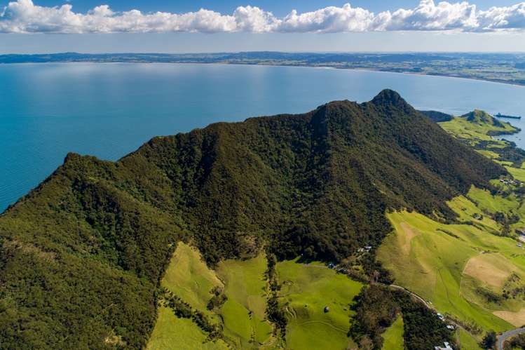 196b Ocean Beach Road Whangarei Heads_33