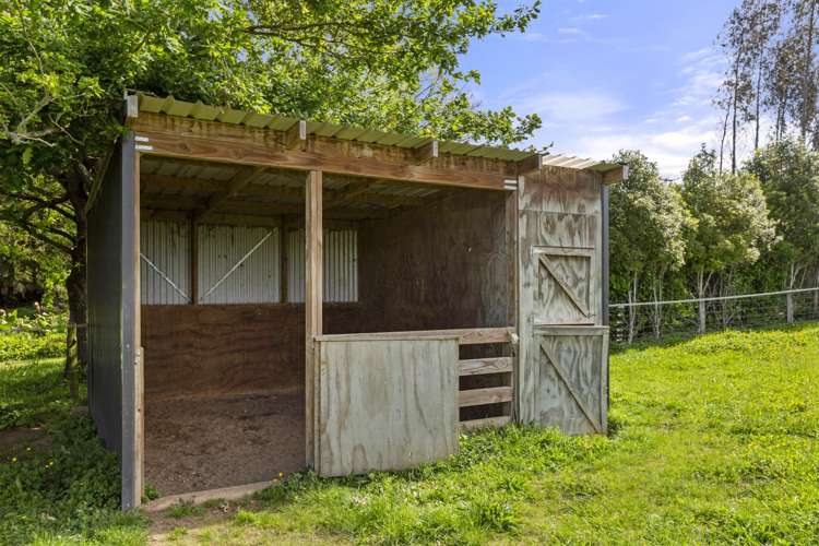 11 Mangakino Road Raglan_21