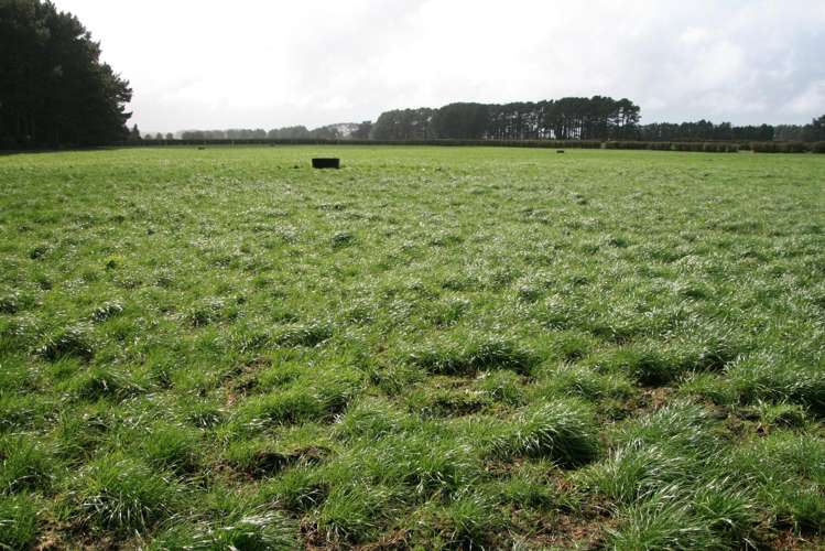 1430 Eltham Road Kaponga_18