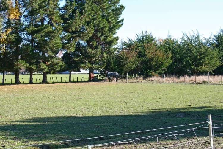 62a Ferry Road Spring Creek_13