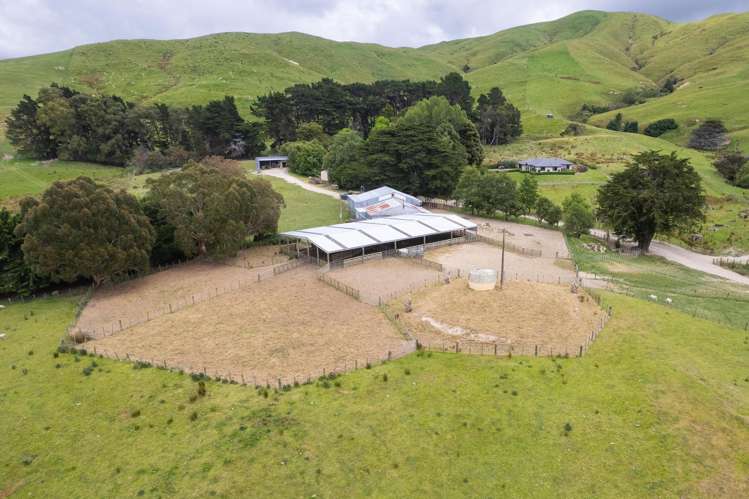83 Towai Road Dannevirke_9