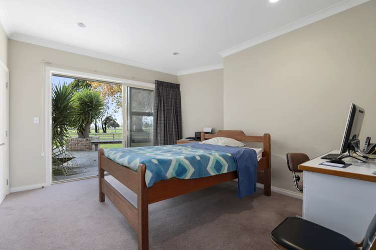 942 Horrell Road Morrinsville_14