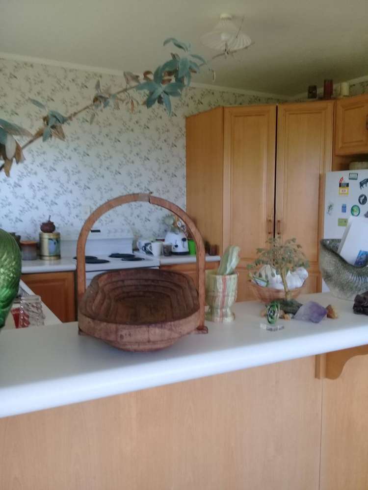 299 Kiwitahi Road Helensville_5