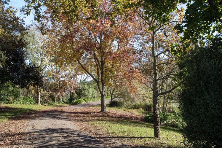 Lot 1 46 Keaney Road Ararimu_7