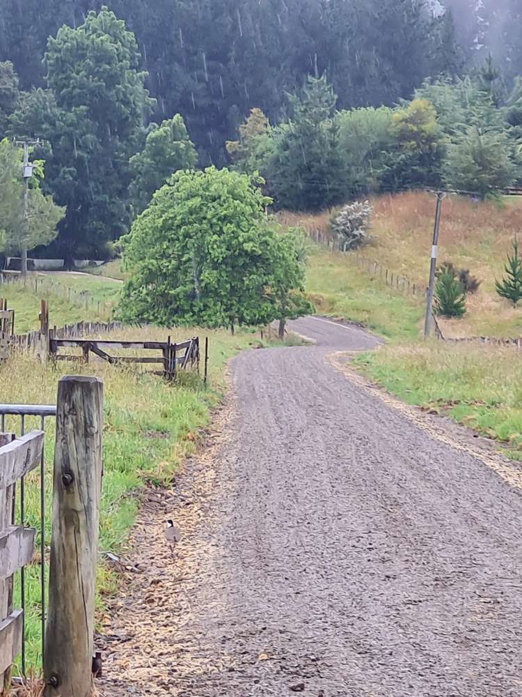 529 Craigie Lea Road Te Wharau_5