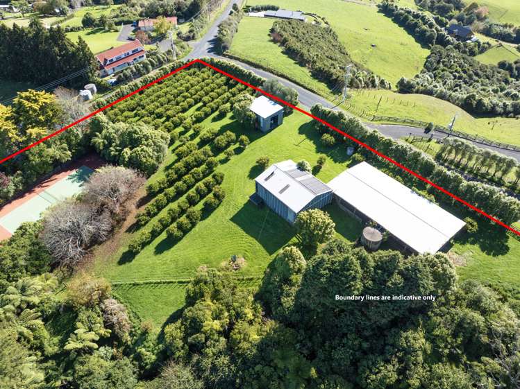 438 Pinnacle Hill Road Mangatawhiri_35