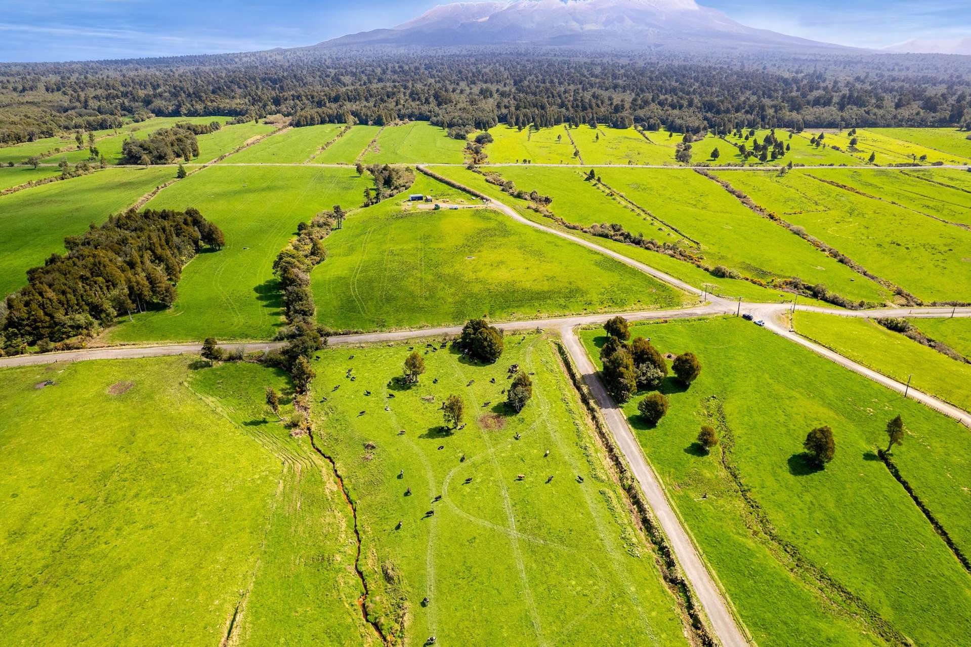 756 Surrey Road Norfolk_0