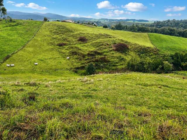 194E Pekanui Road Pirongia_1
