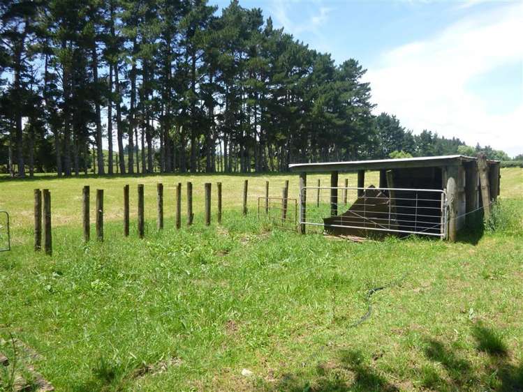 56 Fisher Road Waihi_14