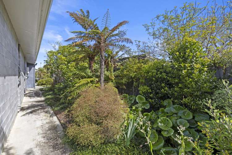 6 Mahana Place Raglan_33