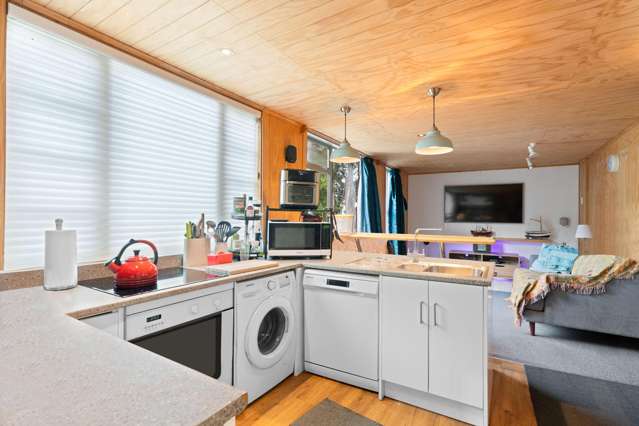 102 Mangatarere Valley Road Carrington_3