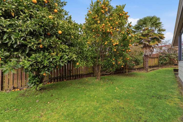 21 Bayview Street Te Puke_18
