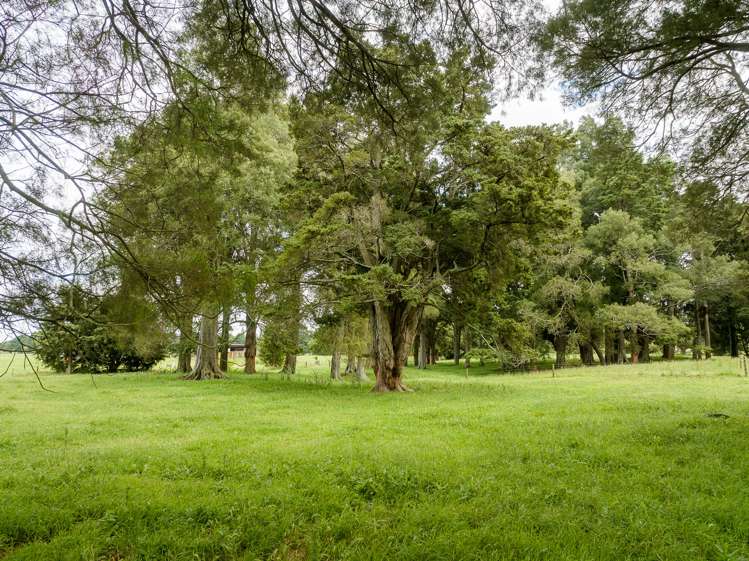 1714a Orini Road Orini_27