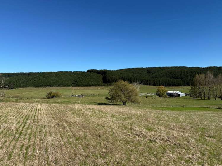 Quail Valley Road_5