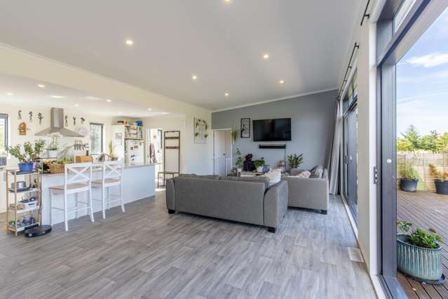 87 River Road Otane_3