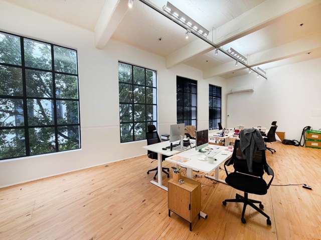 1 Cleveland Road Parnell_2