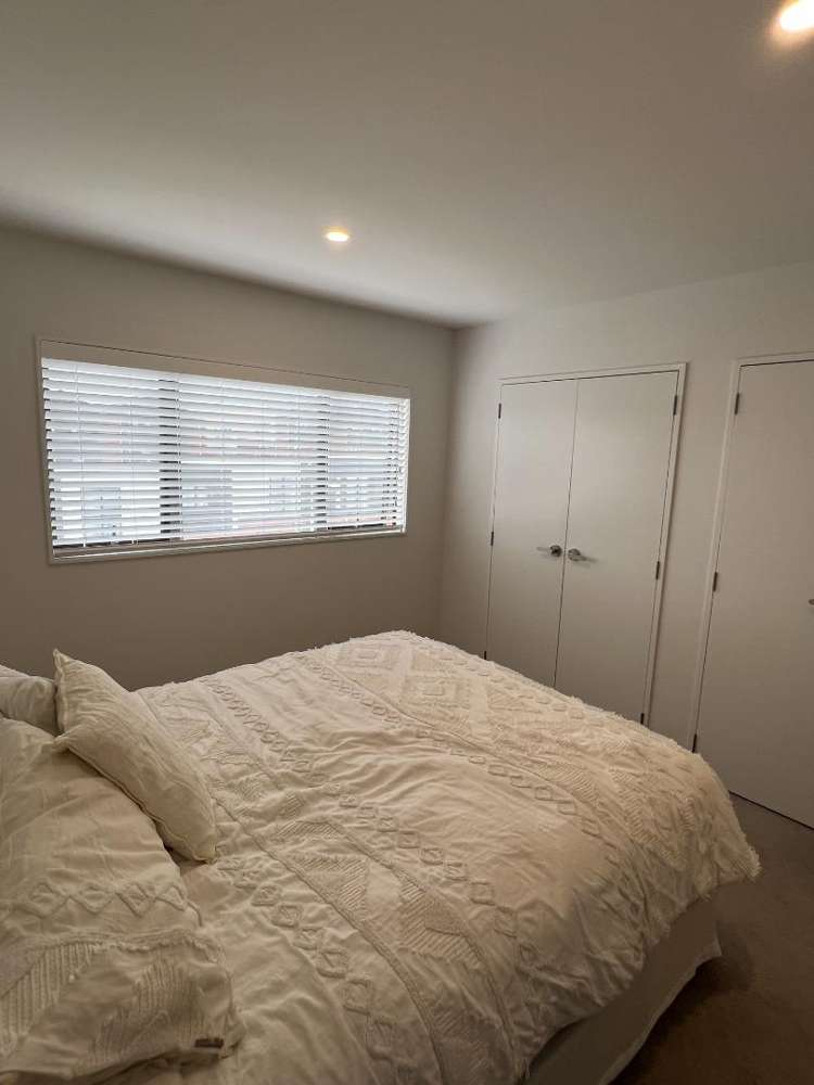 11 Treeline Lane Flat Bush_15